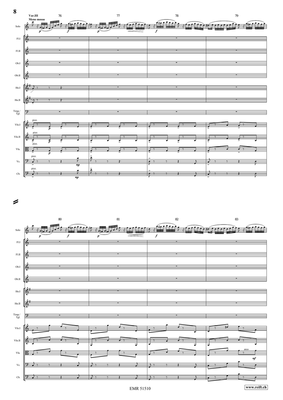 The Carnival Of Venice The Carnival Of Venice Orchestra scores gallery preview page 8