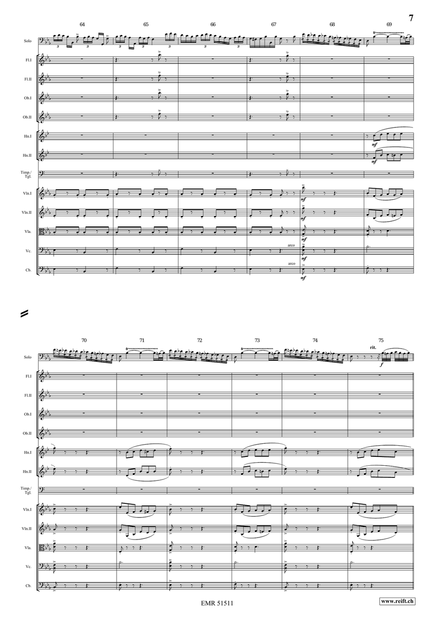 The Carnival Of Venice The Carnival Of Venice Orchestra scores gallery preview page 7
