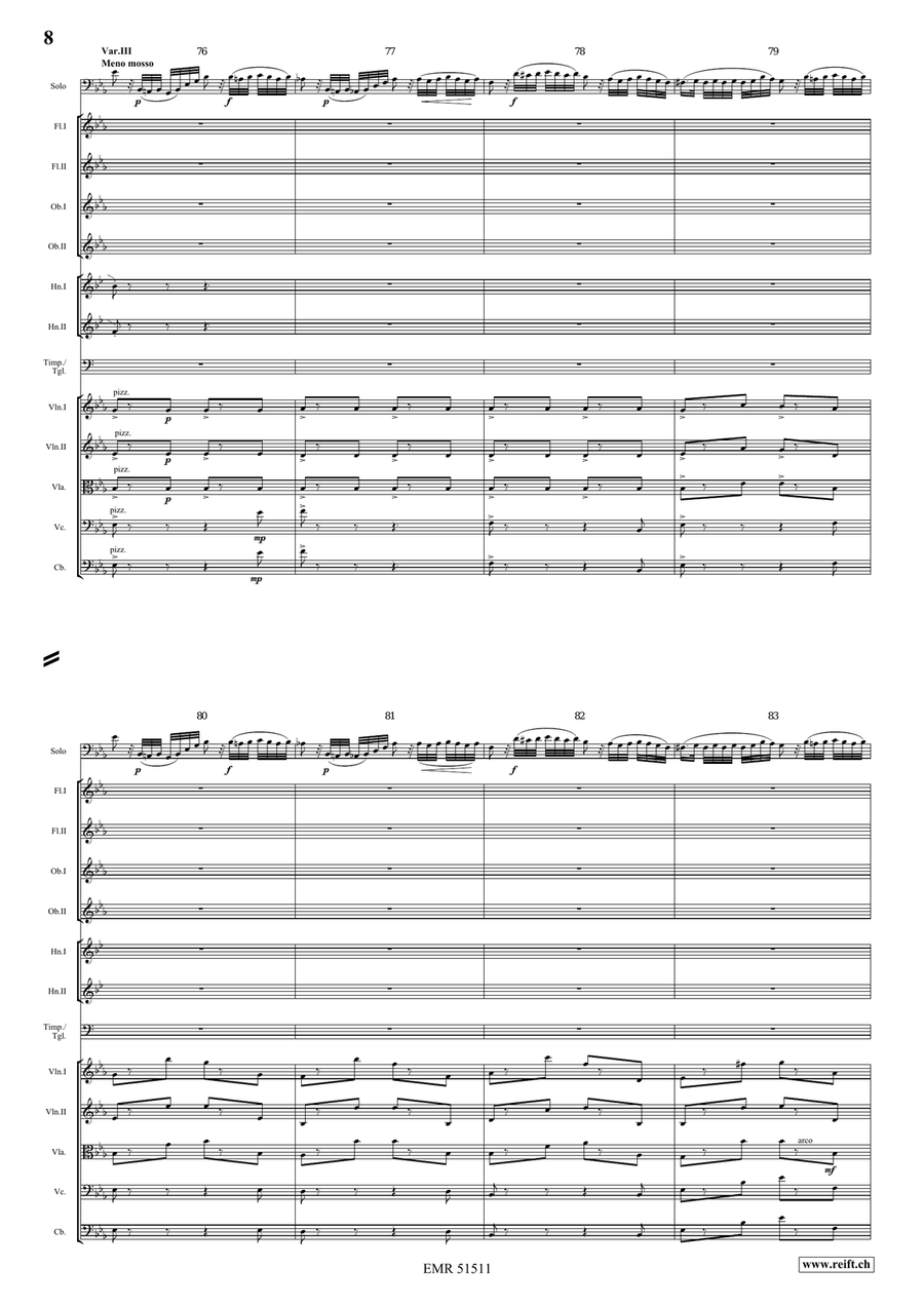 The Carnival Of Venice The Carnival Of Venice Orchestra scores gallery preview page 8