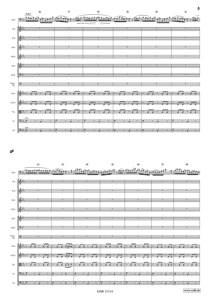 The Carnival Of Venice The Carnival Of Venice Orchestra scores gallery preview page 5