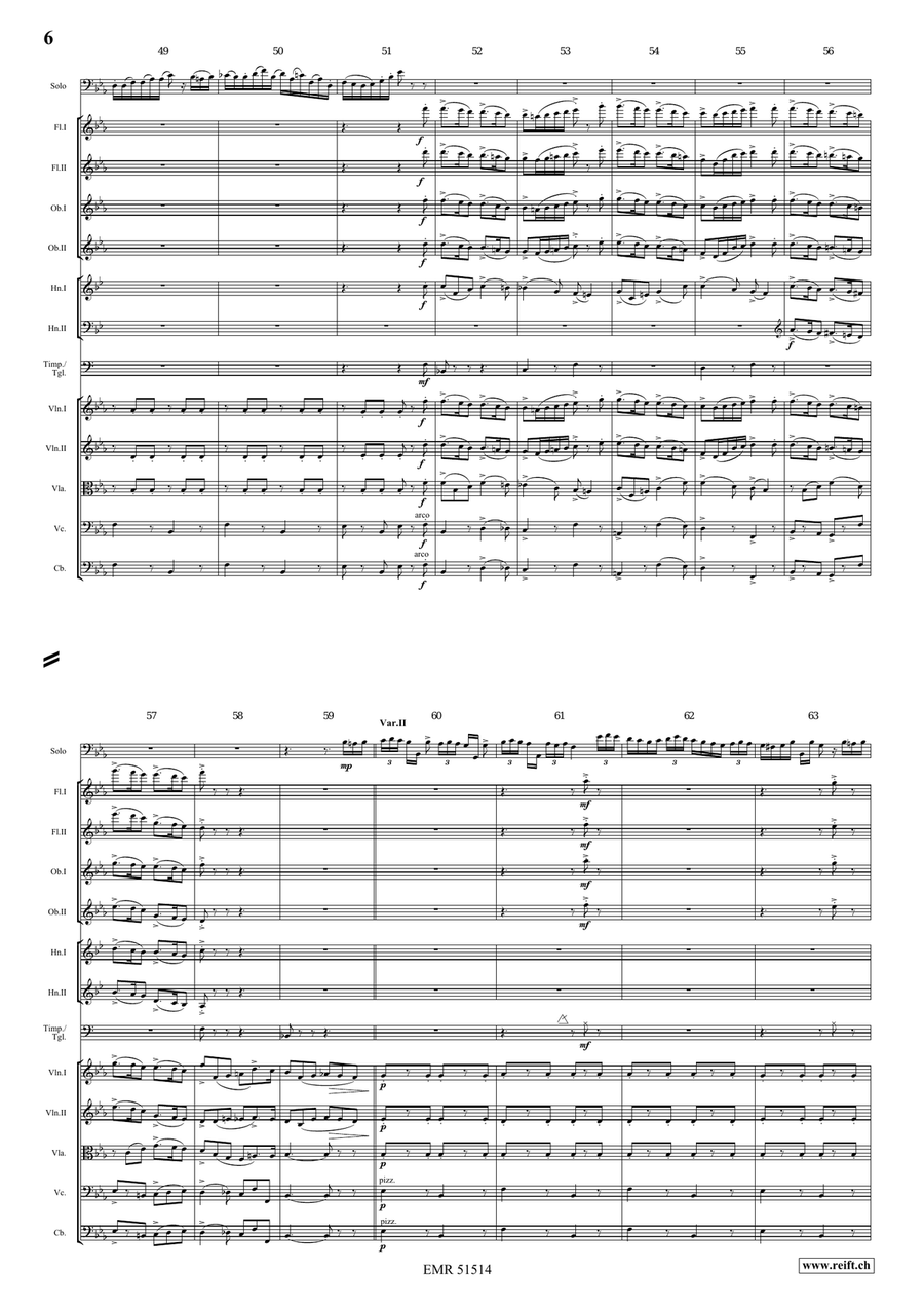 The Carnival Of Venice The Carnival Of Venice Orchestra scores gallery preview page 6