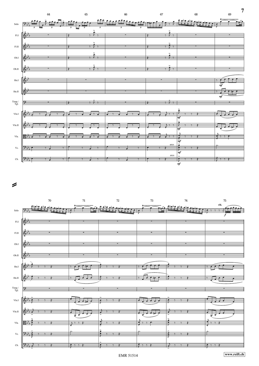 The Carnival Of Venice The Carnival Of Venice Orchestra scores gallery preview page 7