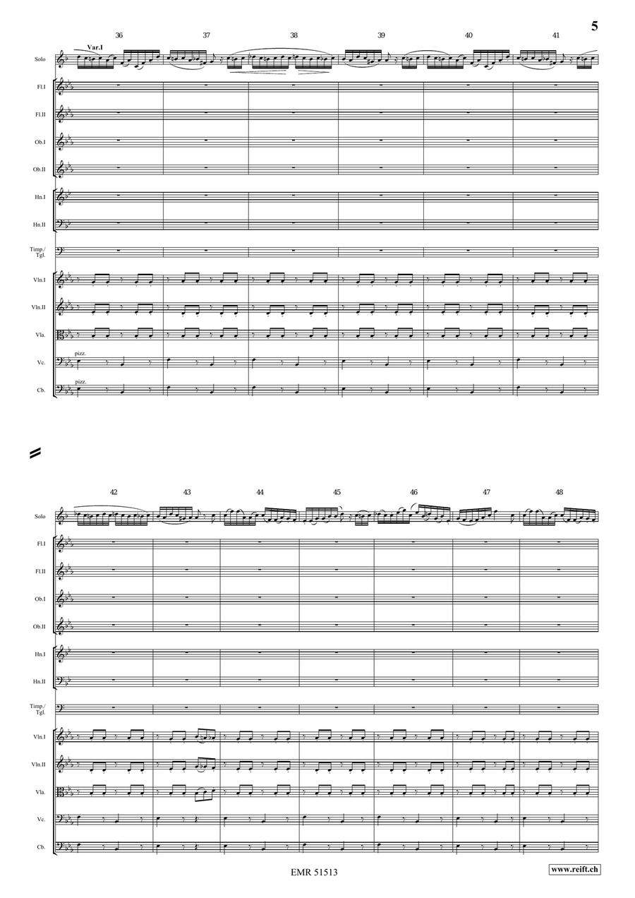 The Carnival Of Venice The Carnival Of Venice Orchestra scores gallery preview page 5
