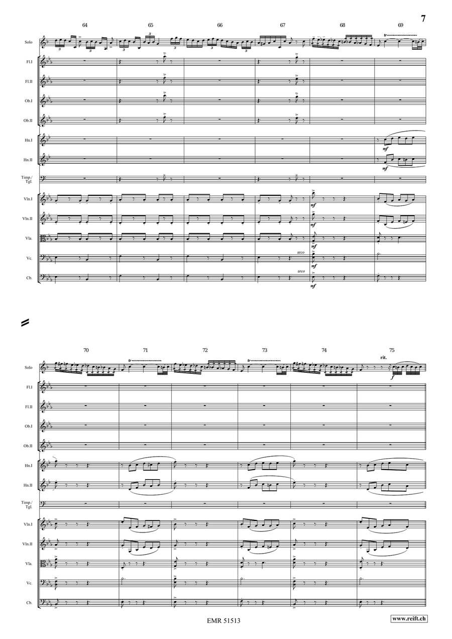 The Carnival Of Venice The Carnival Of Venice Orchestra scores gallery preview page 7