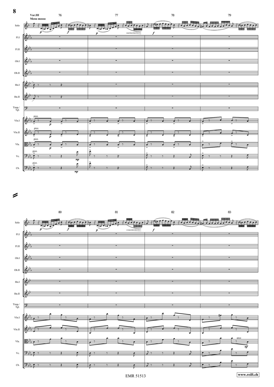 The Carnival Of Venice The Carnival Of Venice Orchestra scores gallery preview page 8