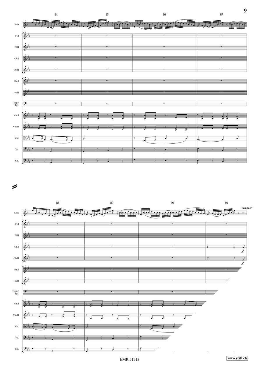 The Carnival Of Venice The Carnival Of Venice Orchestra scores gallery preview page 9