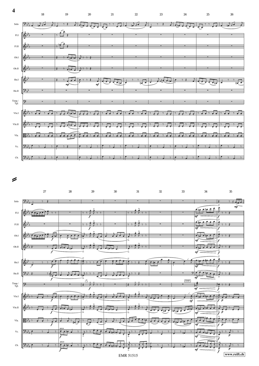 The Carnival Of Venice The Carnival Of Venice Orchestra scores gallery preview page 4