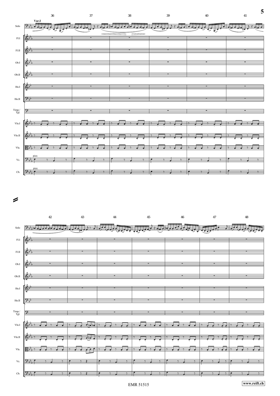 The Carnival Of Venice The Carnival Of Venice Orchestra scores gallery preview page 5