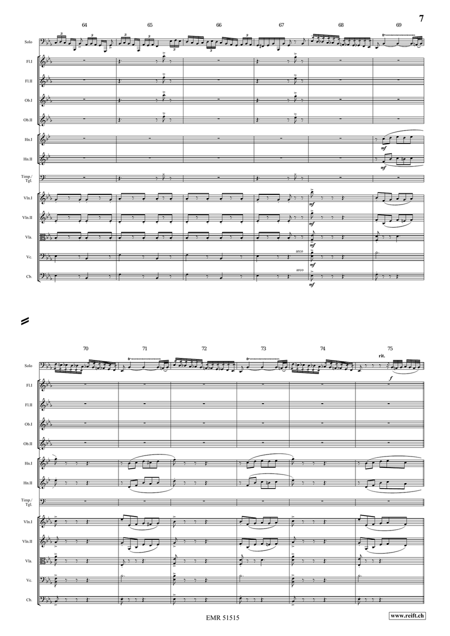 The Carnival Of Venice The Carnival Of Venice Orchestra scores gallery preview page 7