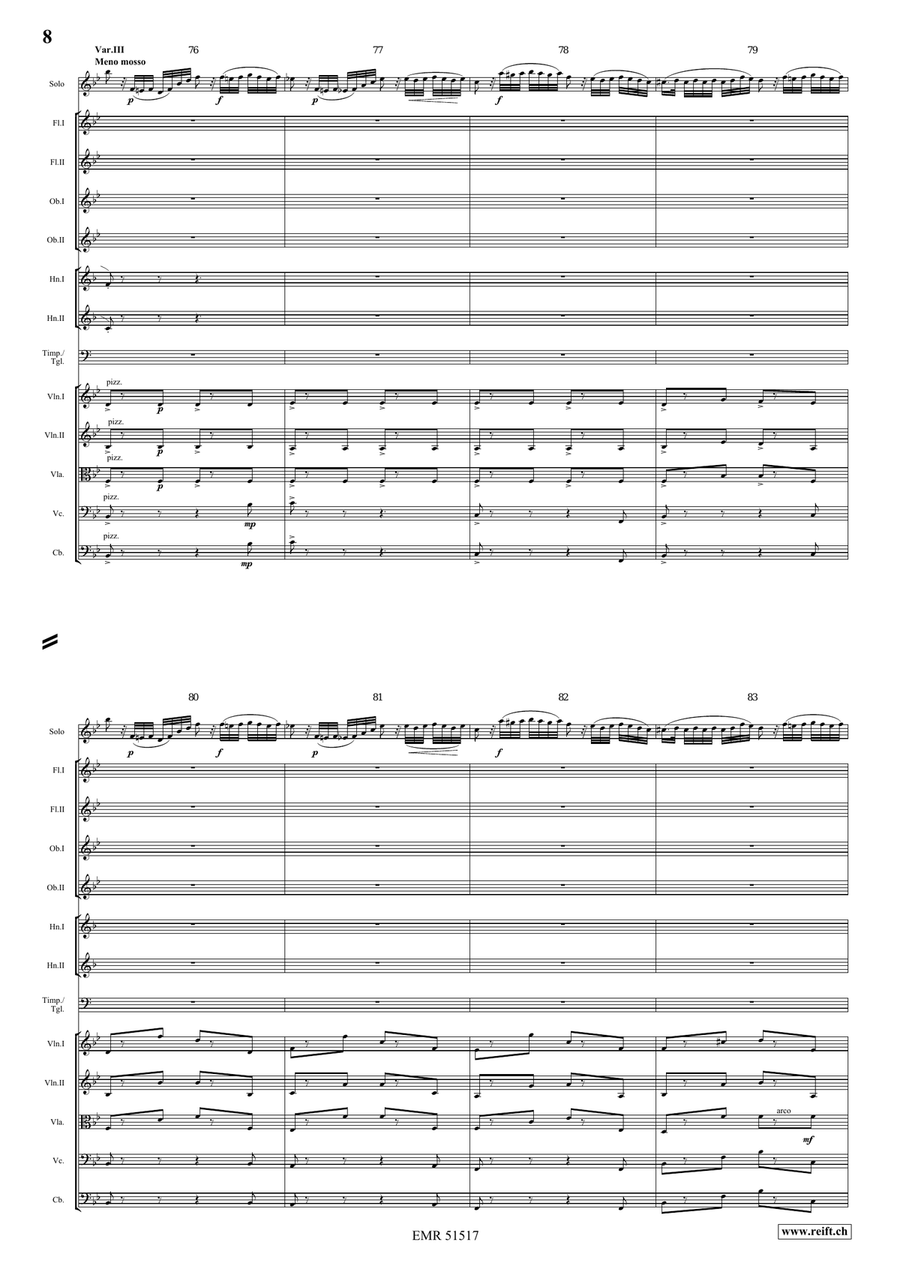 The Carnival Of Venice The Carnival Of Venice Orchestra scores gallery preview page 8