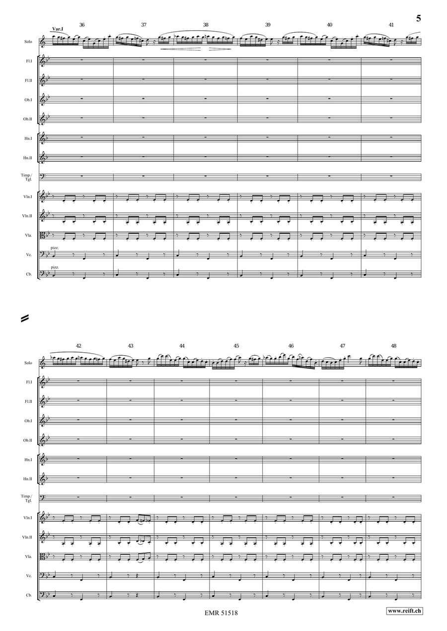 The Carnival Of Venice Orchestra scores gallery preview page 5