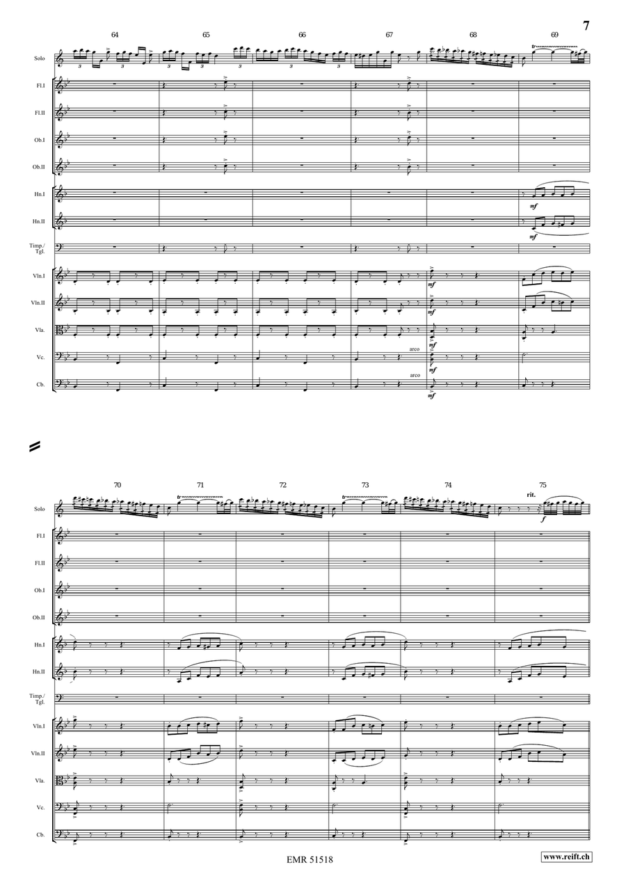 The Carnival Of Venice Orchestra scores gallery preview page 7