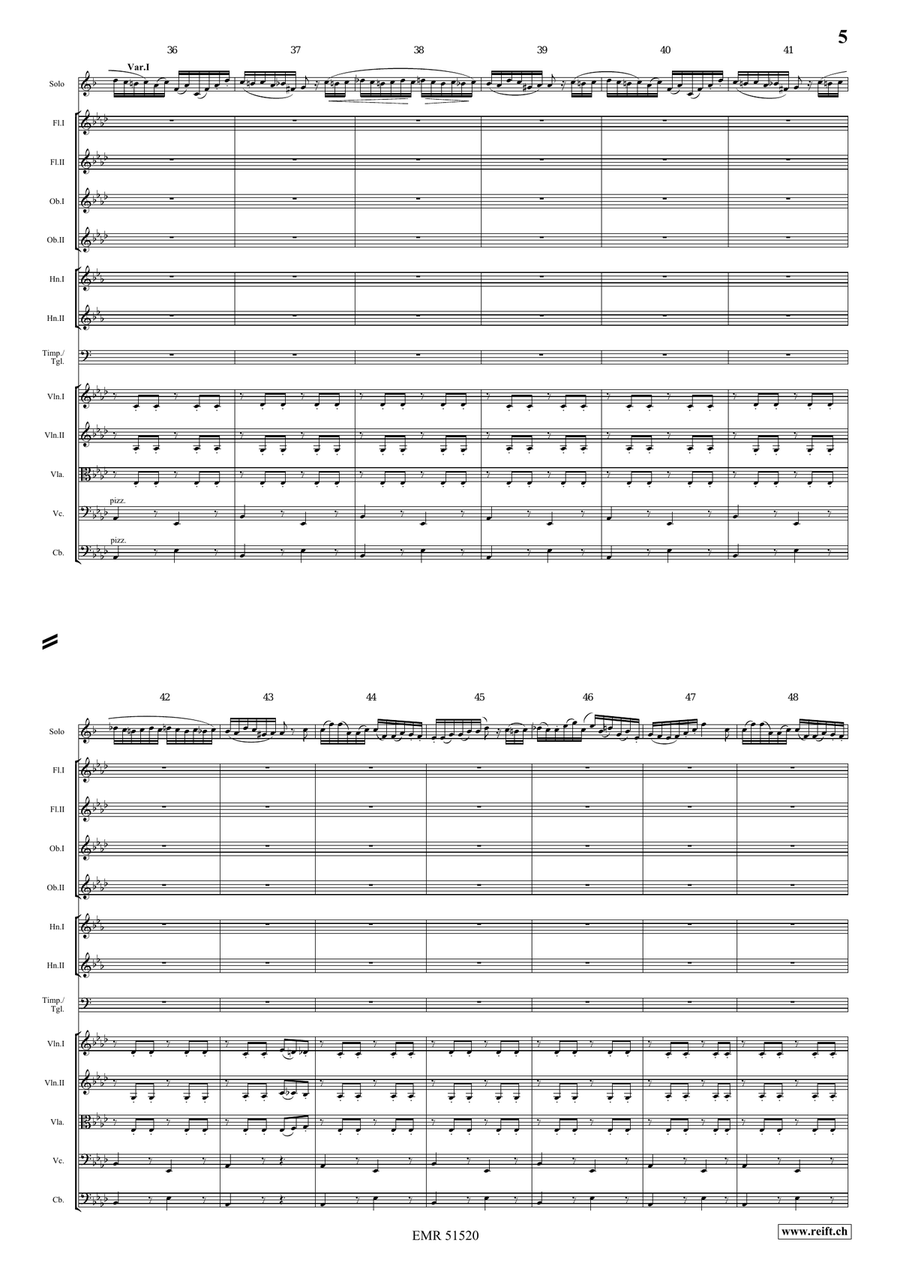 The Carnival Of Venice The Carnival Of Venice Orchestra scores gallery preview page 5