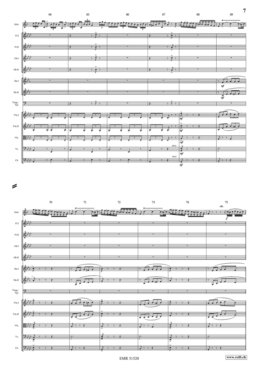 The Carnival Of Venice The Carnival Of Venice Orchestra scores gallery preview page 7