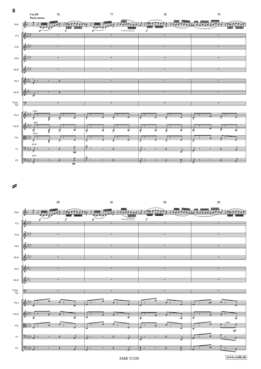 The Carnival Of Venice The Carnival Of Venice Orchestra scores gallery preview page 8
