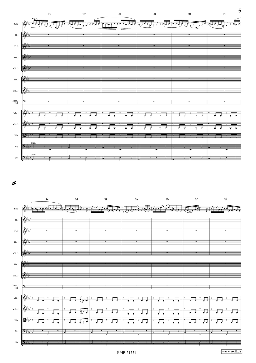 The Carnival Of Venice The Carnival Of Venice Orchestra scores gallery preview page 5