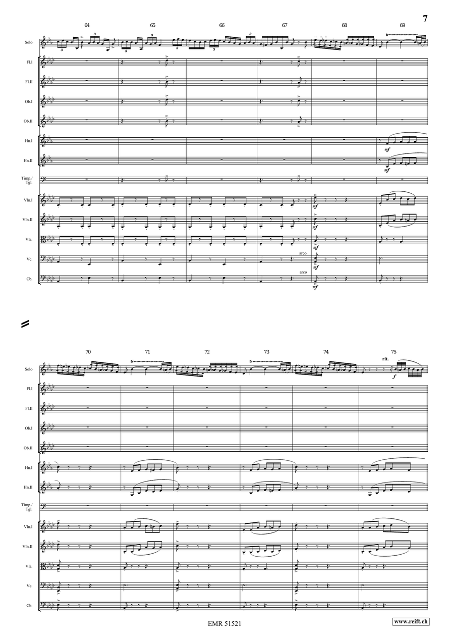 The Carnival Of Venice The Carnival Of Venice Orchestra scores gallery preview page 7