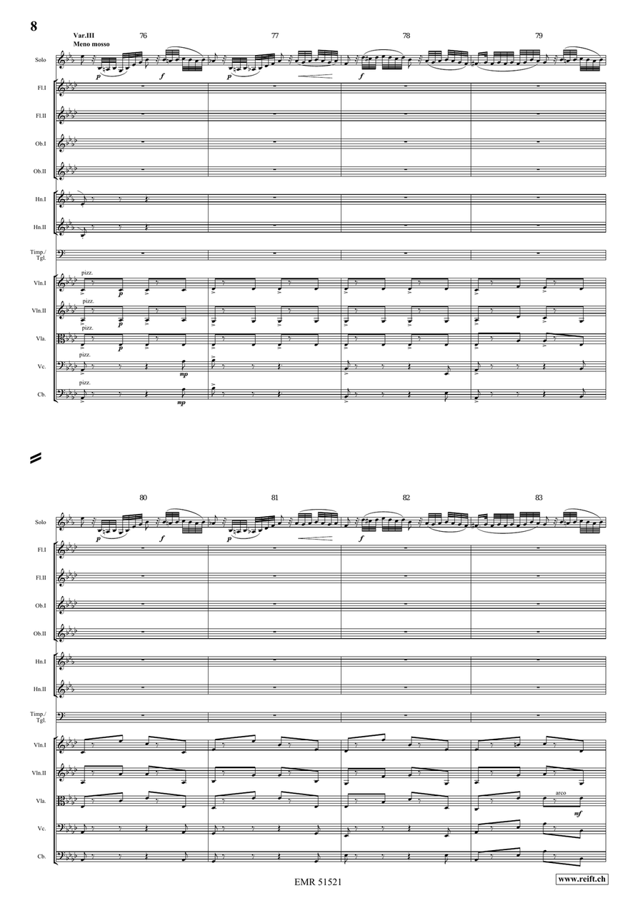 The Carnival Of Venice The Carnival Of Venice Orchestra scores gallery preview page 8