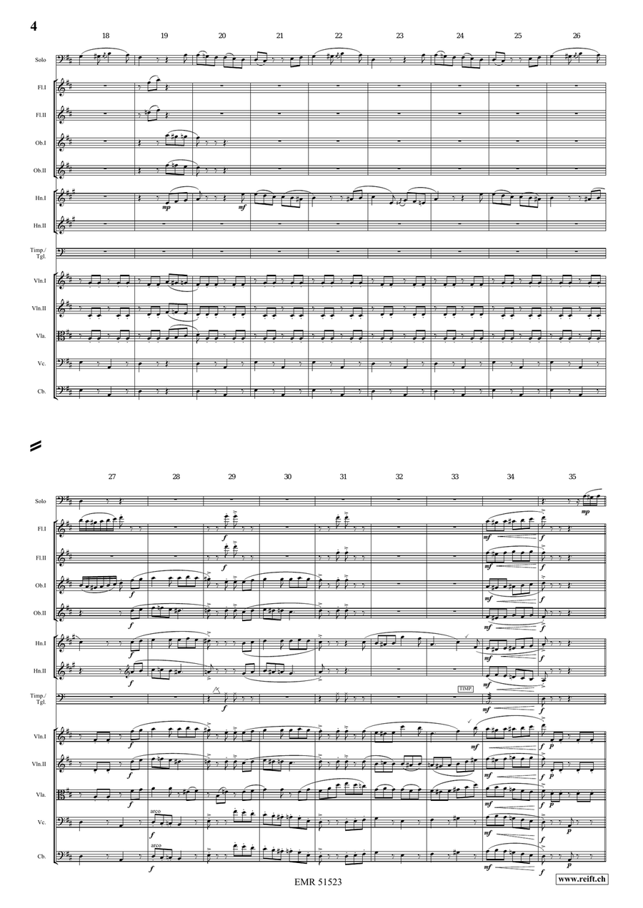 The Carnival Of Venice The Carnival Of Venice Orchestra scores gallery preview page 4