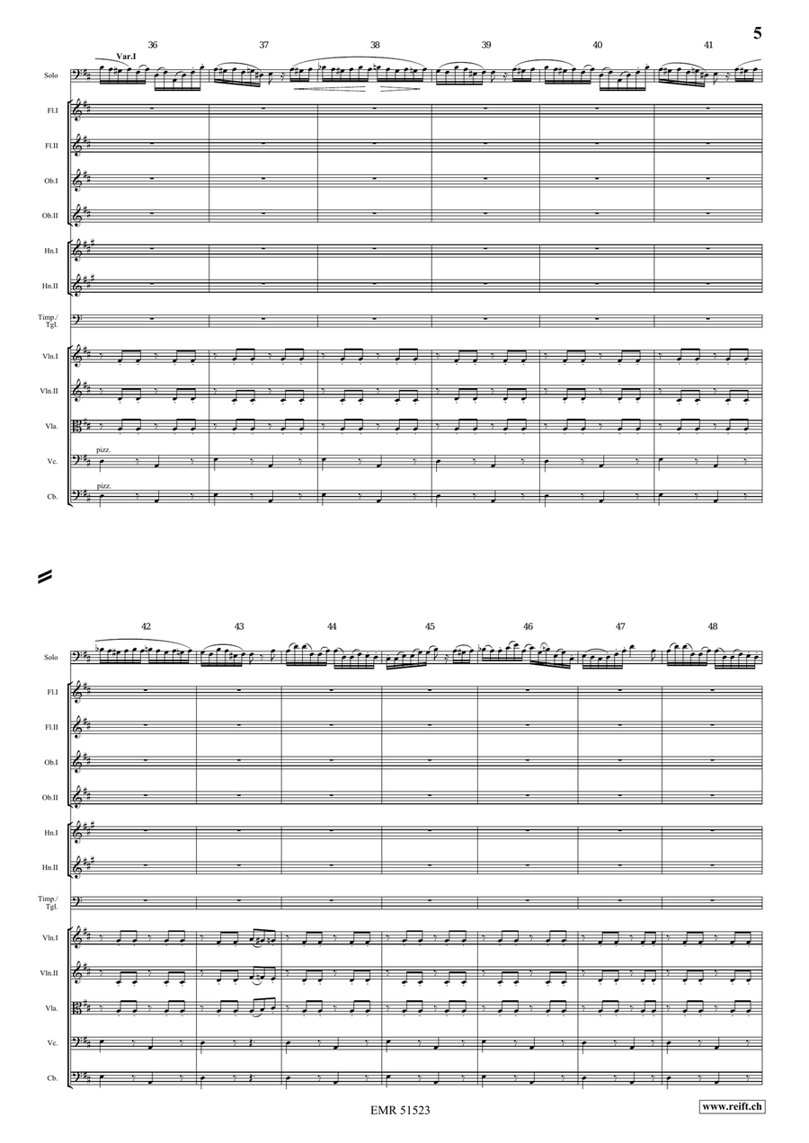 The Carnival Of Venice The Carnival Of Venice Orchestra scores gallery preview page 5