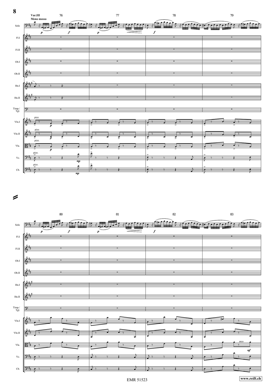 The Carnival Of Venice The Carnival Of Venice Orchestra scores gallery preview page 8