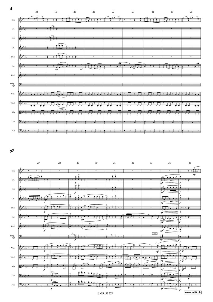 The Carnival Of Venice The Carnival Of Venice Orchestra scores gallery preview page 4