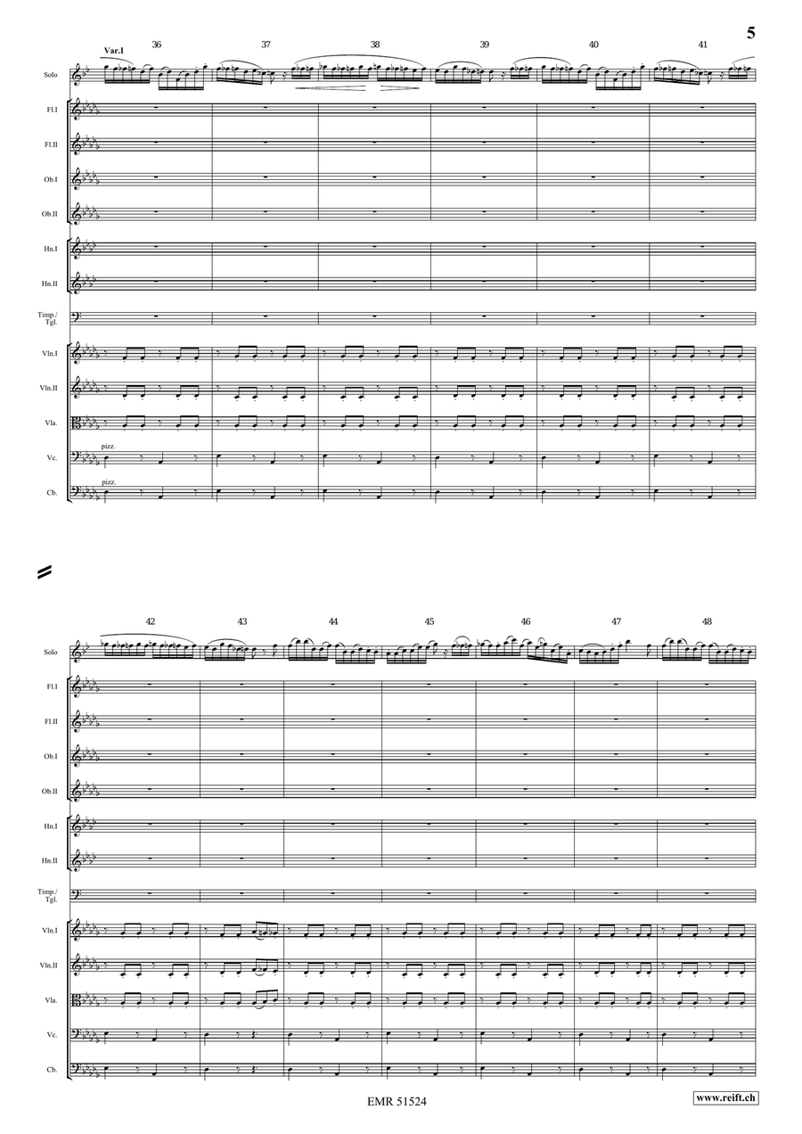 The Carnival Of Venice The Carnival Of Venice Orchestra scores gallery preview page 5