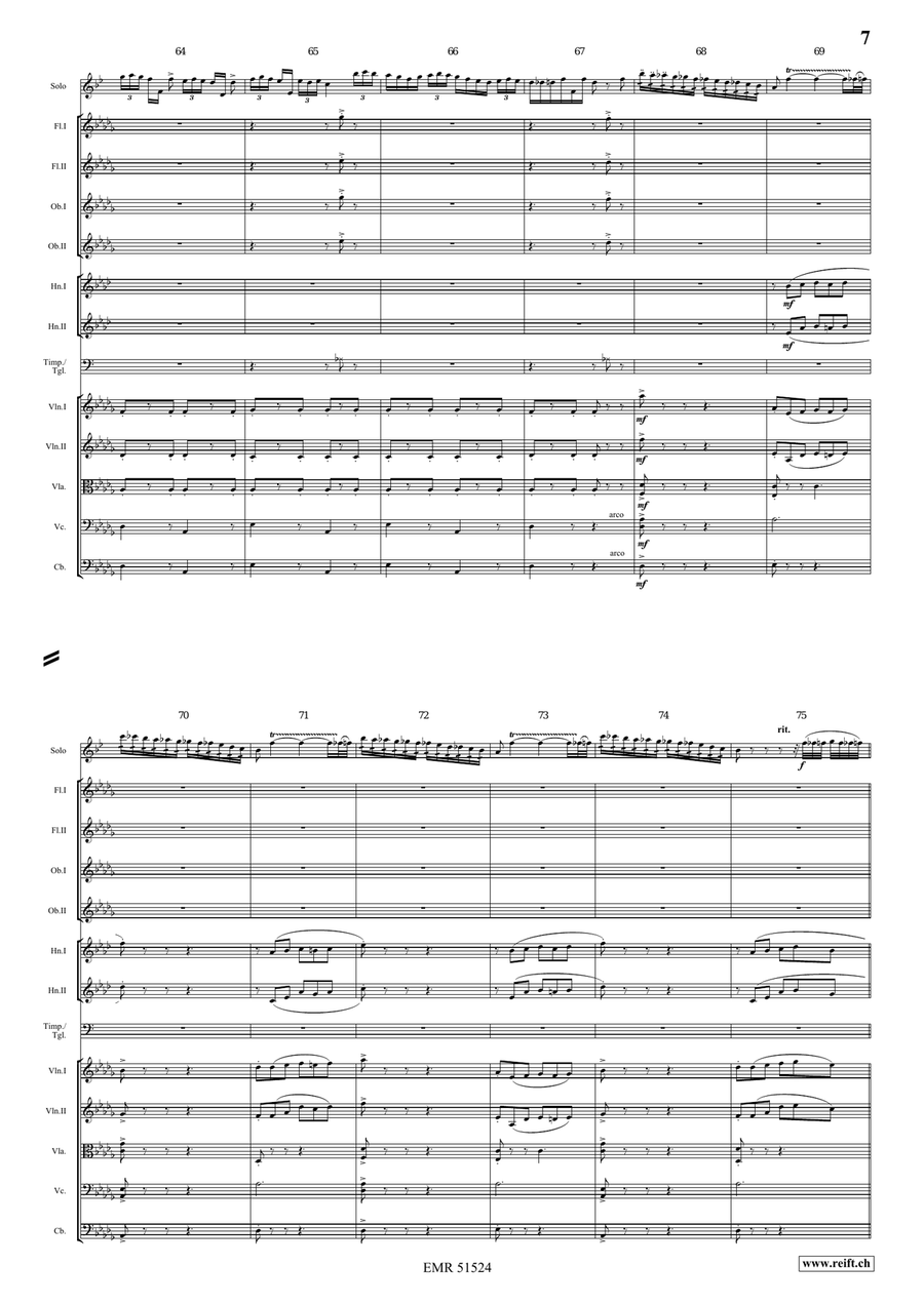 The Carnival Of Venice The Carnival Of Venice Orchestra scores gallery preview page 7
