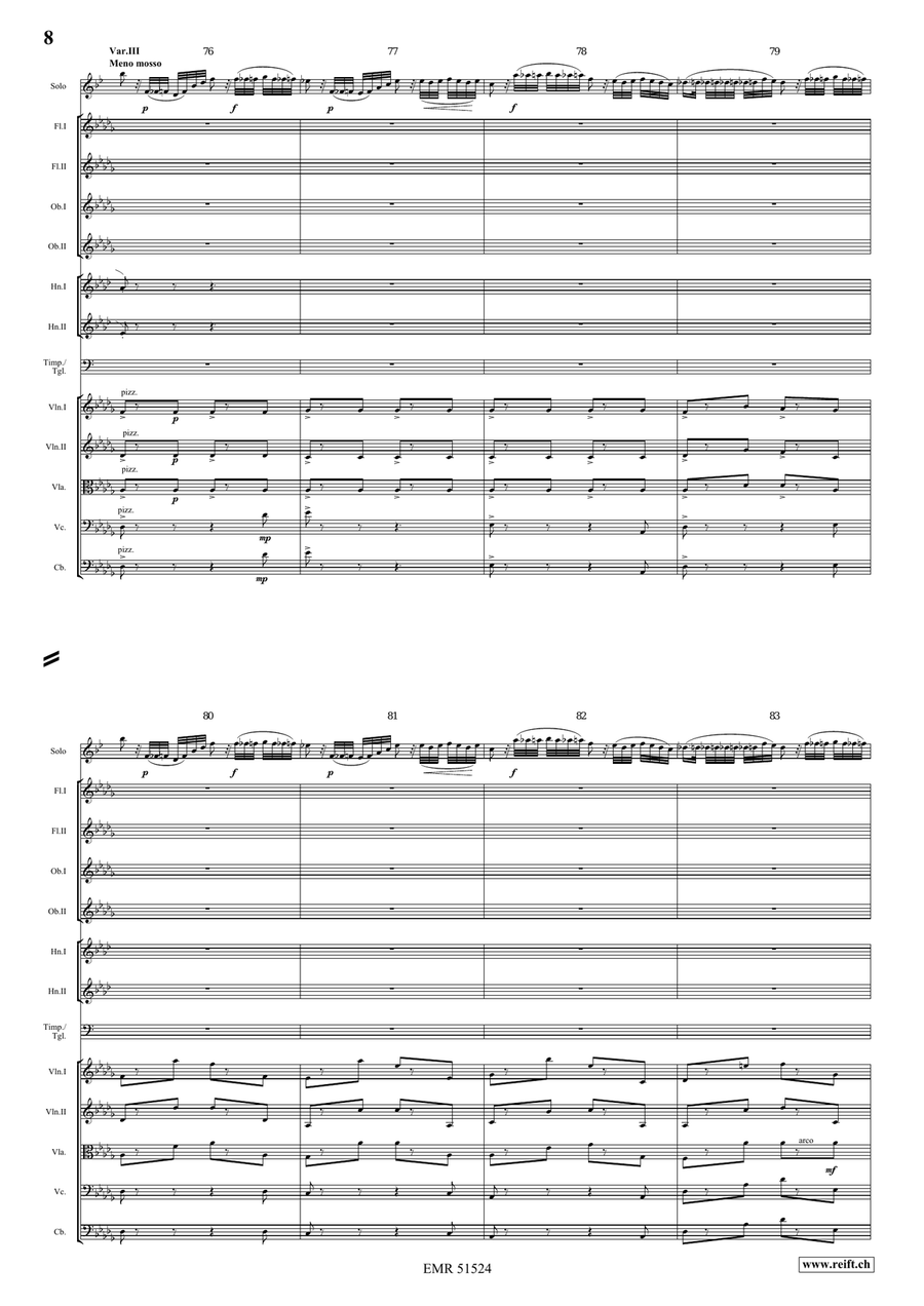 The Carnival Of Venice The Carnival Of Venice Orchestra scores gallery preview page 8