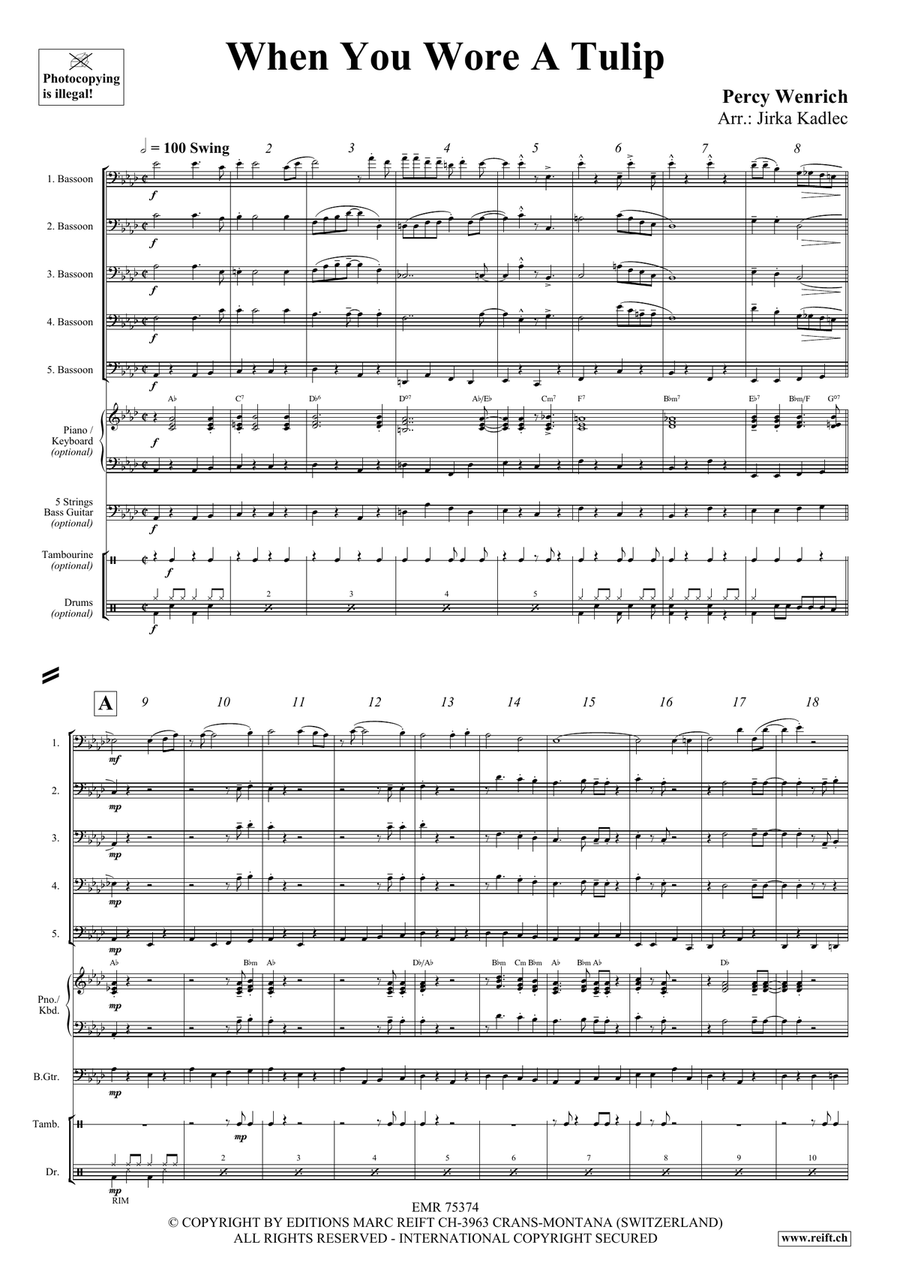 When You Wore A Tulip Bassoon scores gallery preview page 3