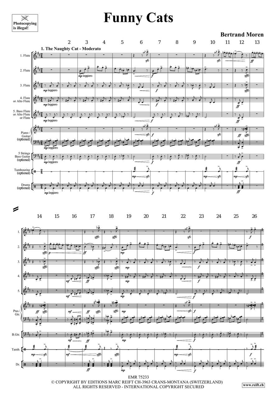 Funny Cats Funny Cats Flute scores gallery preview page 4