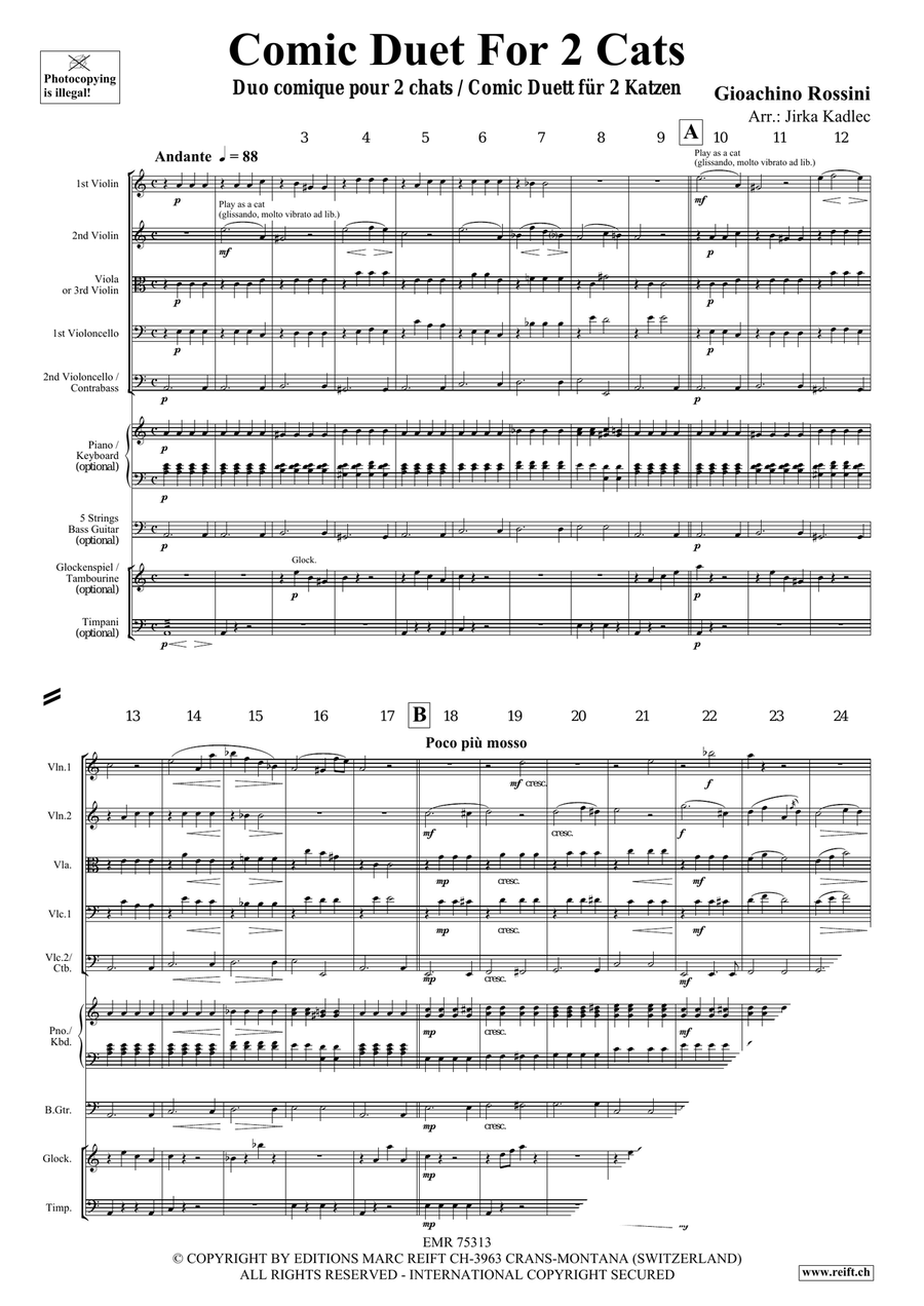 Comic Duet For 2 Cats by Gioachino Rossini String Quintet - Sheet Music page 3