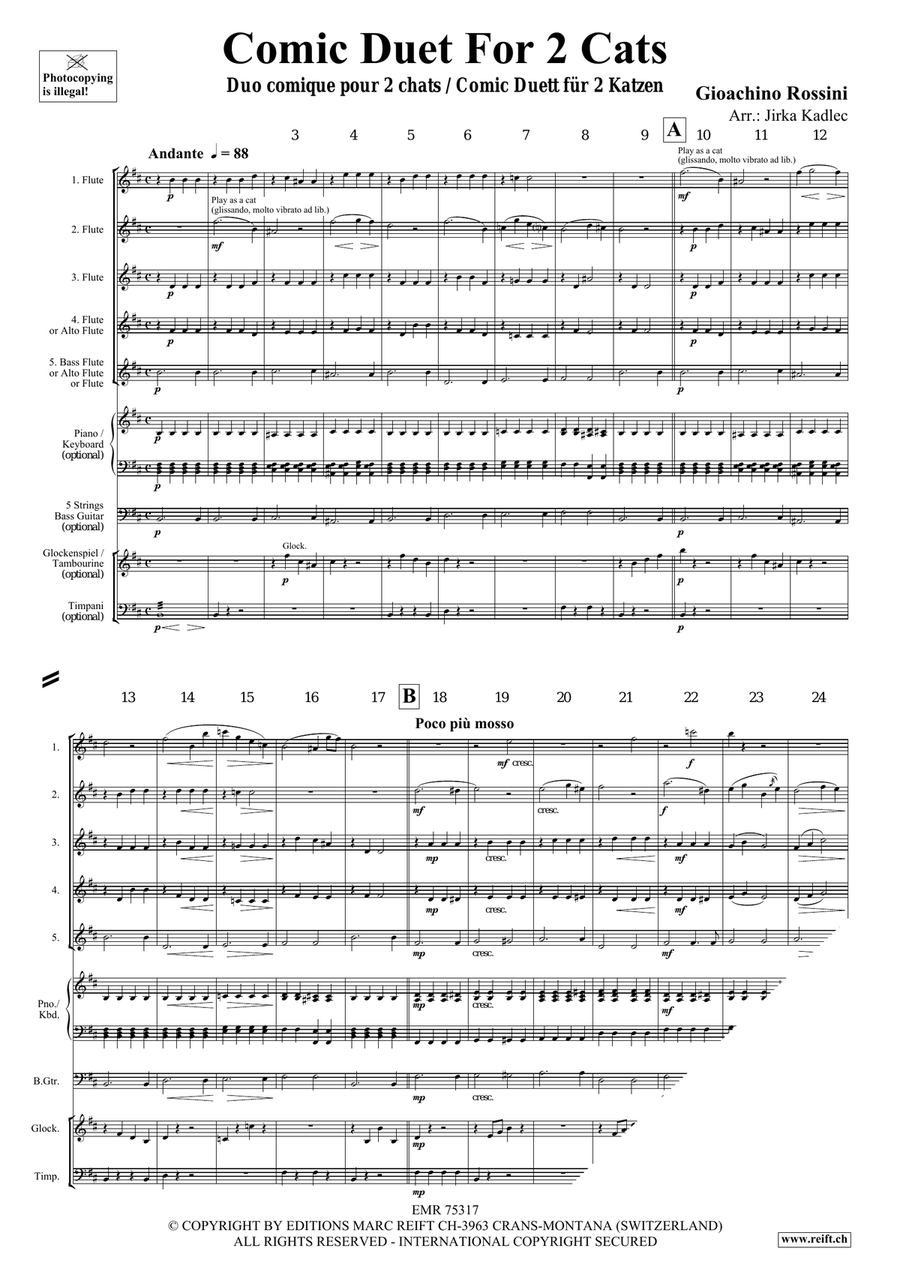 Comic Duet For 2 Cats Comic Duet For 2 Cats Flute scores gallery preview page 3