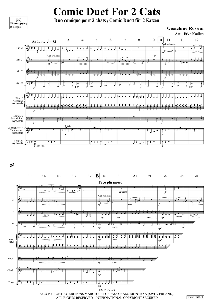 Comic Duet For 2 Cats by Gioachino Rossini Score - Sheet Music page 3