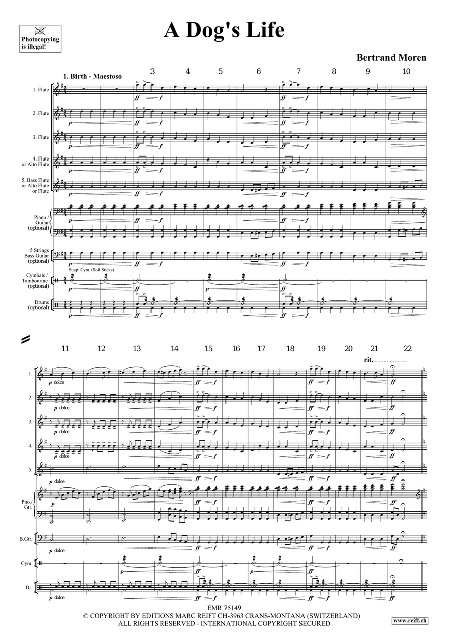 A Dog's Life A Dog's Life Flute scores gallery preview page 4