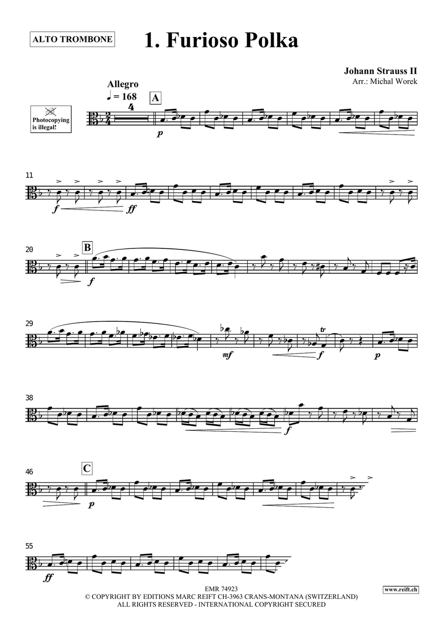 The Charm Of Vienna Volume 5 Piano Accompaniment scores gallery preview page 3