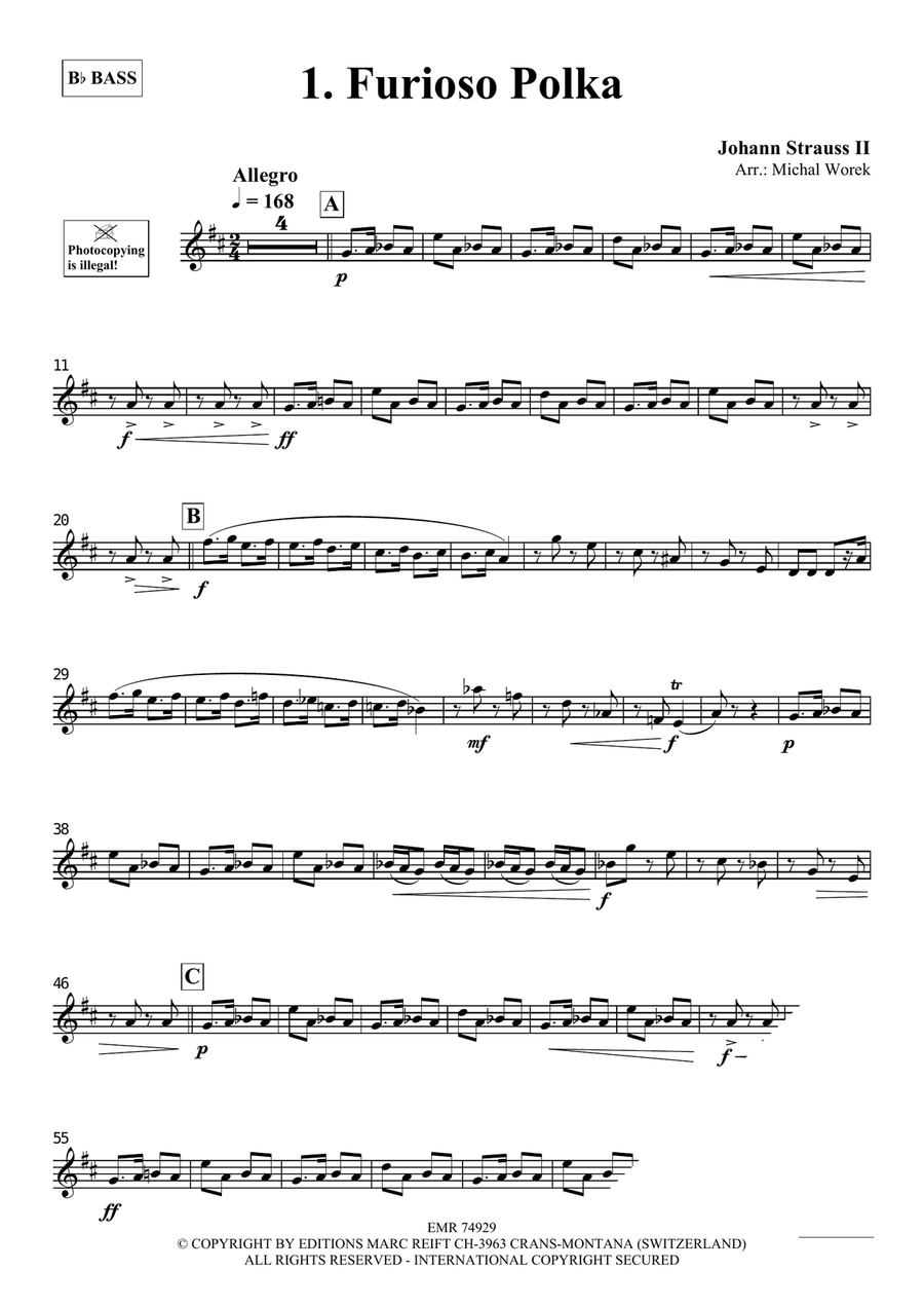 The Charm Of Vienna Volume 5 Piano Accompaniment scores gallery preview page 3