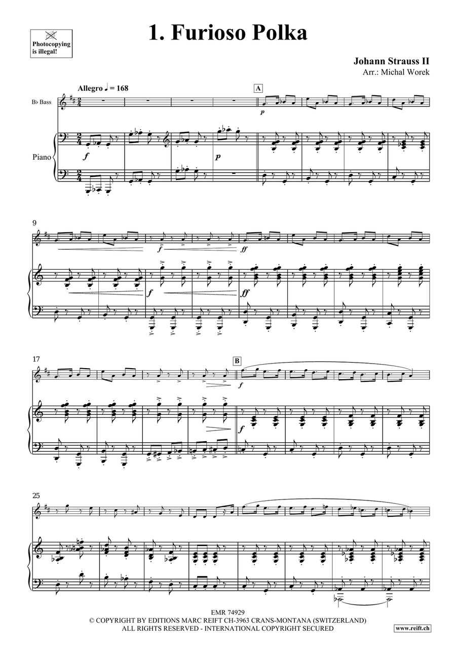 The Charm Of Vienna Volume 5 Piano Accompaniment scores gallery preview page 4