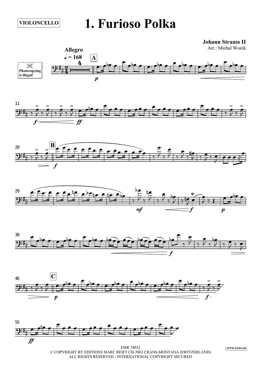 The Charm Of Vienna Volume 5 Piano Accompaniment scores gallery preview page 3