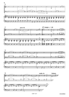 Comic Duet For 2 Cats Cornet scores gallery preview page 4