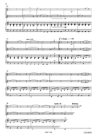 Comic Duet For 2 Cats Flute scores gallery preview page 4