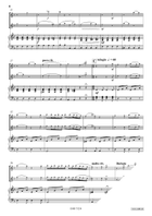Comic Duet For 2 Cats Violin scores gallery preview page 4