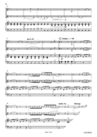 Comic Duet For 2 Cats Cornet scores gallery preview page 4