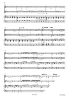 Comic Duet For 2 Cats Euphonium scores gallery preview page 4