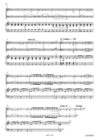 Comic Duet For 2 Cats Horn scores gallery preview page 4