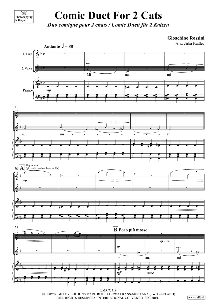 Comic Duet For 2 Cats Comic Duet For 2 Cats Flute scores gallery preview page 3