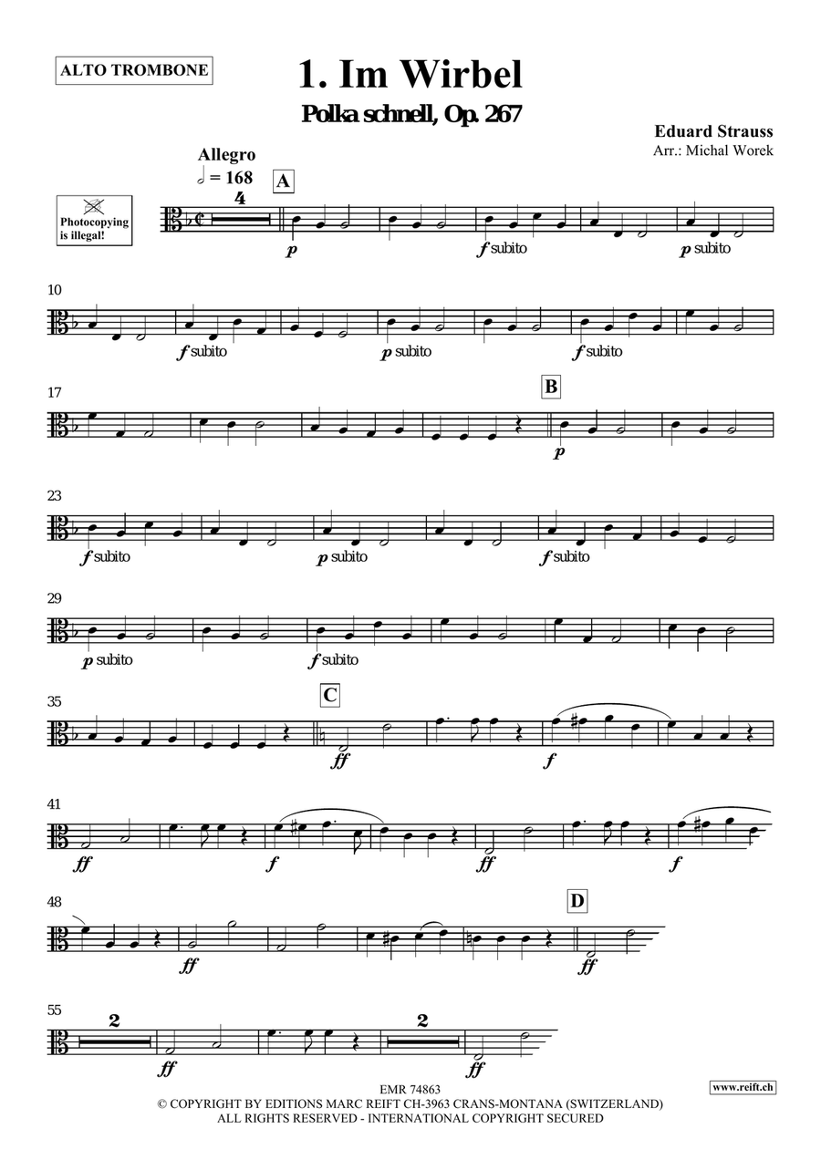 The Charm Of Vienna Volume 3 Piano Accompaniment scores gallery preview page 3