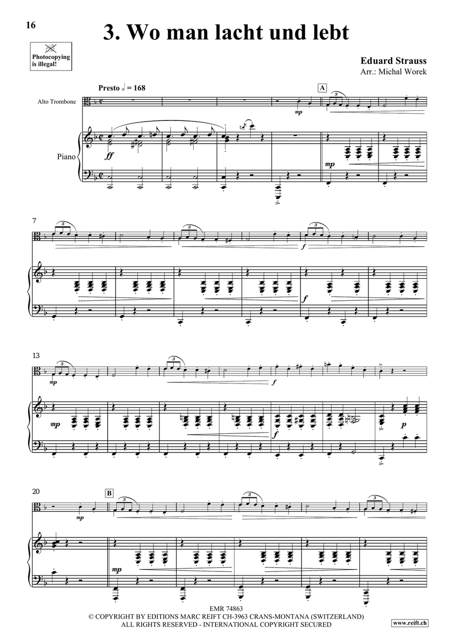 The Charm Of Vienna Volume 3 Piano Accompaniment scores gallery preview page 8