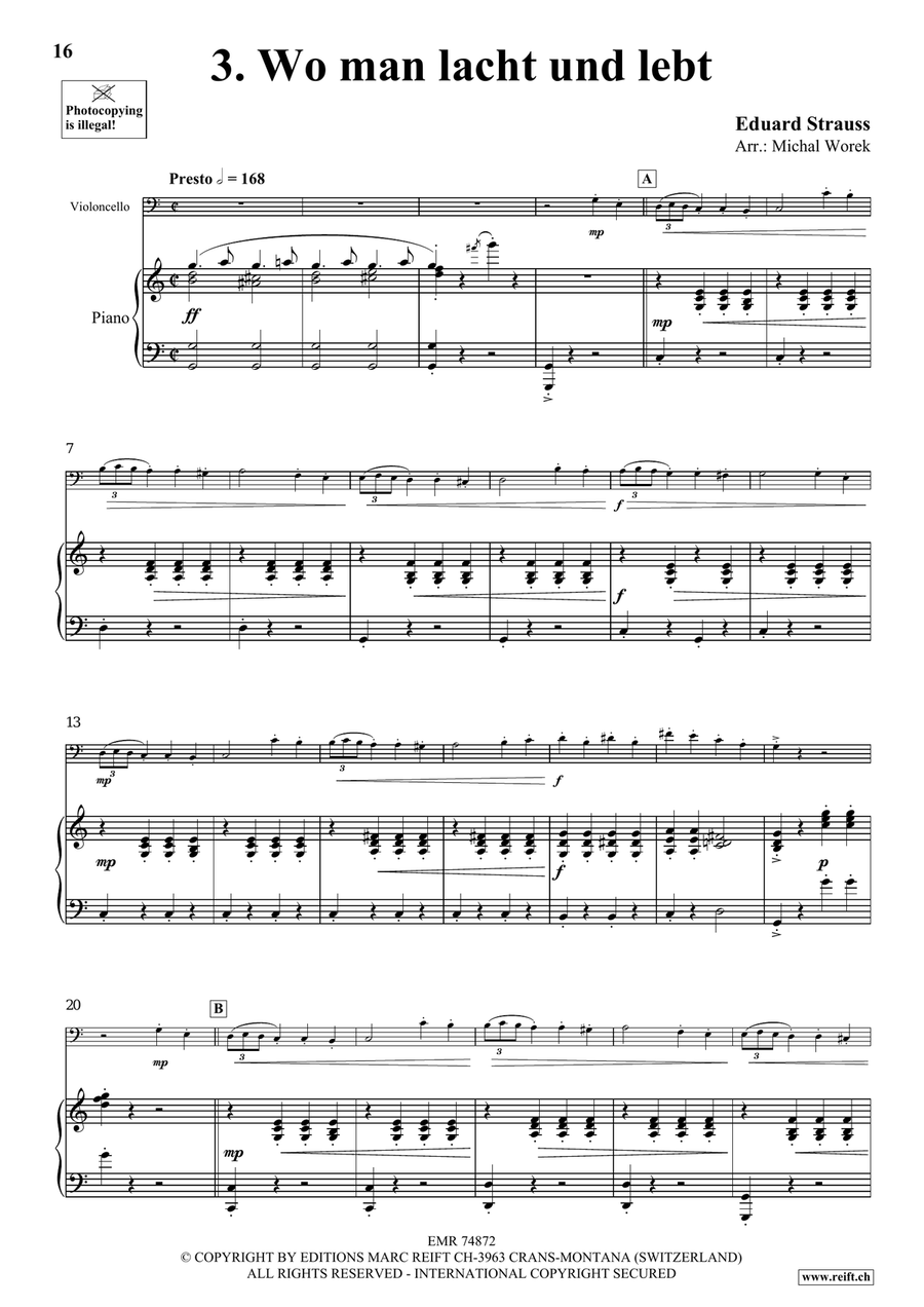The Charm Of Vienna Volume 3 Piano Accompaniment scores gallery preview page 8