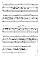 Adagio Flute Solo scores gallery preview page 4